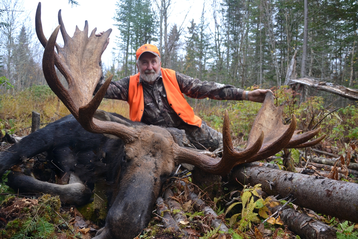 Maine Moose Hunts Tylor Kelly Camps